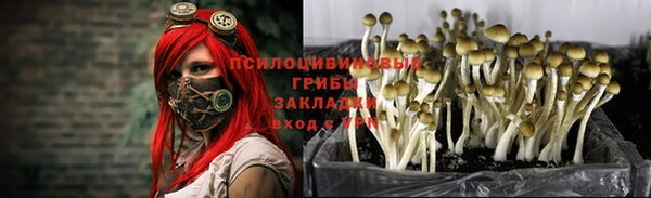 мескалин Алексин