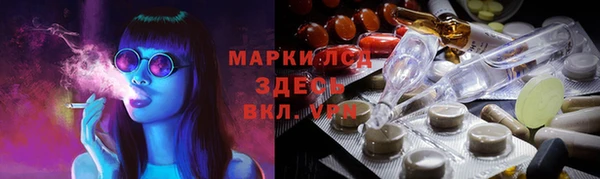 хмурый Алзамай
