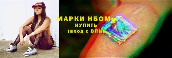 хмурый Алзамай