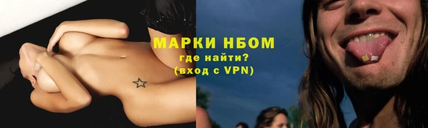 хмурый Алзамай