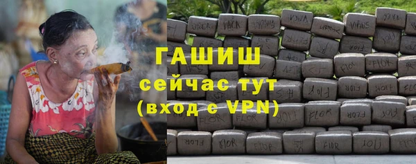 хмурый Алзамай