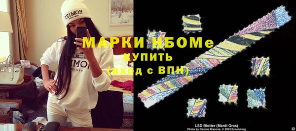 хмурый Алзамай